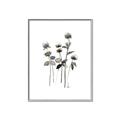 Picture of Black Botanical I  _GroupedProduct_Rectangle_Portrait_Canvas_Framed_