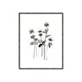 Picture of Black Botanical I  _GroupedProduct_Rectangle_Portrait_Canvas_Framed_
