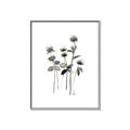 Picture of Black Botanical I  _GroupedProduct_Rectangle_Portrait_Canvas_Framed_