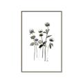 Picture of Black Botanical I  _GroupedProduct_Rectangle_Portrait_Canvas_Framed_