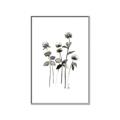 Picture of Black Botanical I  _GroupedProduct_Rectangle_Portrait_Canvas_Framed_