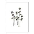 Picture of Black Botanical I  _GroupedProduct_Rectangle_Portrait_Canvas_Framed_