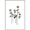 Picture of Black Botanical I  _GroupedProduct_Rectangle_Portrait_Canvas_Framed_