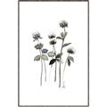 Picture of Black Botanical I  _GroupedProduct_Rectangle_Portrait_Canvas_Framed_