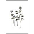Picture of Black Botanical I  _GroupedProduct_Rectangle_Portrait_Canvas_Framed_