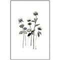 Picture of Black Botanical I  _GroupedProduct_Rectangle_Portrait_Canvas_Framed_