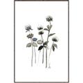 Picture of Black Botanical I  _GroupedProduct_Rectangle_Portrait_Canvas_Framed_