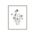 Picture of Black Botanical II  _GroupedProduct_Rectangle_Portrait_Canvas_Framed_