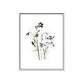 Picture of Black Botanical II  _GroupedProduct_Rectangle_Portrait_Canvas_Framed_