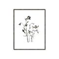Picture of Black Botanical II  _GroupedProduct_Rectangle_Portrait_Canvas_Framed_
