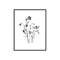 Picture of Black Botanical II  _GroupedProduct_Rectangle_Portrait_Canvas_Framed_