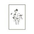 Picture of Black Botanical II  _GroupedProduct_Rectangle_Portrait_Canvas_Framed_