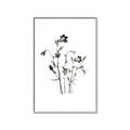 Picture of Black Botanical II  _GroupedProduct_Rectangle_Portrait_Canvas_Framed_