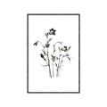 Picture of Black Botanical II  _GroupedProduct_Rectangle_Portrait_Canvas_Framed_