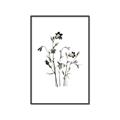 Picture of Black Botanical II  _GroupedProduct_Rectangle_Portrait_Canvas_Framed_