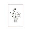 Picture of Black Botanical II  _GroupedProduct_Rectangle_Portrait_Canvas_Framed_