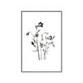 Picture of Black Botanical II  _GroupedProduct_Rectangle_Portrait_Canvas_Framed_