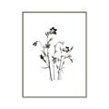 Picture of Black Botanical II  _GroupedProduct_Rectangle_Portrait_Canvas_Framed_