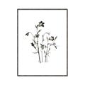 Picture of Black Botanical II  _GroupedProduct_Rectangle_Portrait_Canvas_Framed_