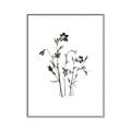 Picture of Black Botanical II  _GroupedProduct_Rectangle_Portrait_Canvas_Framed_