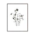 Picture of Black Botanical II  _GroupedProduct_Rectangle_Portrait_Canvas_Framed_