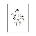 Picture of Black Botanical II  _GroupedProduct_Rectangle_Portrait_Canvas_Framed_
