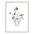 Picture of Black Botanical II  _GroupedProduct_Rectangle_Portrait_Canvas_Framed_