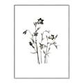 Picture of Black Botanical II  _GroupedProduct_Rectangle_Portrait_Canvas_Framed_