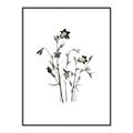 Picture of Black Botanical II  _GroupedProduct_Rectangle_Portrait_Canvas_Framed_