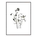 Picture of Black Botanical II  _GroupedProduct_Rectangle_Portrait_Canvas_Framed_