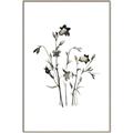 Picture of Black Botanical II  _GroupedProduct_Rectangle_Portrait_Canvas_Framed_