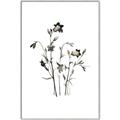 Picture of Black Botanical II  _GroupedProduct_Rectangle_Portrait_Canvas_Framed_