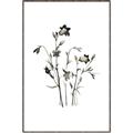 Picture of Black Botanical II  _GroupedProduct_Rectangle_Portrait_Canvas_Framed_