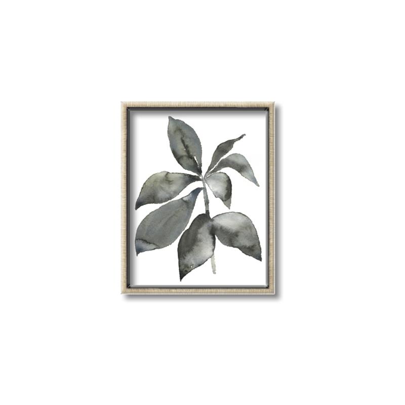 Picture of Black Watercolour Botanical I _GroupedProduct_Rectangle_Portrait_Canvas_Framed_
