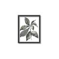 Picture of Black Watercolour Botanical I _GroupedProduct_Rectangle_Portrait_Canvas_Framed_