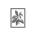 Picture of Black Watercolour Botanical I _GroupedProduct_Rectangle_Portrait_Canvas_Framed_