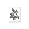 Picture of Black Watercolour Botanical I _GroupedProduct_Rectangle_Portrait_Canvas_Framed_