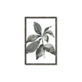Picture of Black Watercolour Botanical I _GroupedProduct_Rectangle_Portrait_Canvas_Framed_