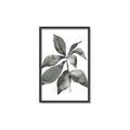 Picture of Black Watercolour Botanical I _GroupedProduct_Rectangle_Portrait_Canvas_Framed_