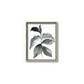 Picture of Black Watercolour Botanical II  _GroupedProduct_Rectangle_Portrait_Canvas_Framed_