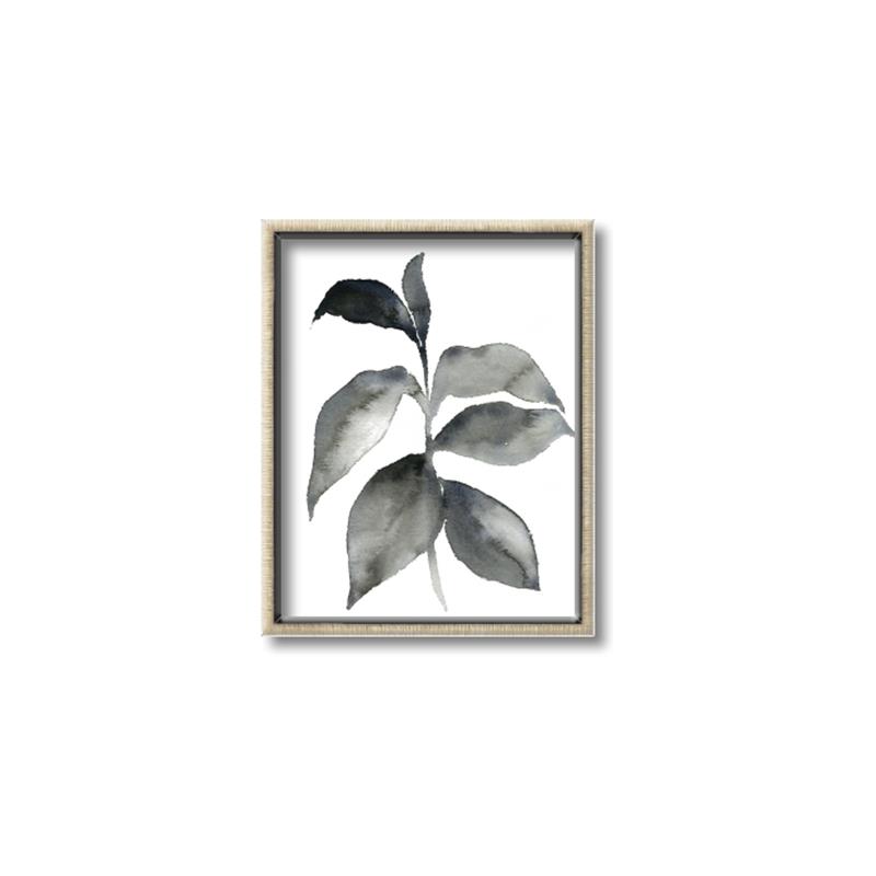 Picture of Black Watercolour Botanical II  _GroupedProduct_Rectangle_Portrait_Canvas_Framed_