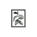 Picture of Black Watercolour Botanical II  _GroupedProduct_Rectangle_Portrait_Canvas_Framed_