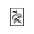 Picture of Black Watercolour Botanical II  _GroupedProduct_Rectangle_Portrait_Canvas_Framed_