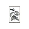 Picture of Black Watercolour Botanical II  _GroupedProduct_Rectangle_Portrait_Canvas_Framed_