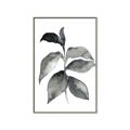 Picture of Black Watercolour Botanical II  _GroupedProduct_Rectangle_Portrait_Canvas_Framed_
