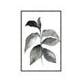Picture of Black Watercolour Botanical II  _GroupedProduct_Rectangle_Portrait_Canvas_Framed_