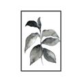 Picture of Black Watercolour Botanical II  _GroupedProduct_Rectangle_Portrait_Canvas_Framed_