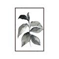 Picture of Black Watercolour Botanical II  _GroupedProduct_Rectangle_Portrait_Canvas_Framed_