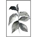 Picture of Black Watercolour Botanical II  _GroupedProduct_Rectangle_Portrait_Canvas_Framed_