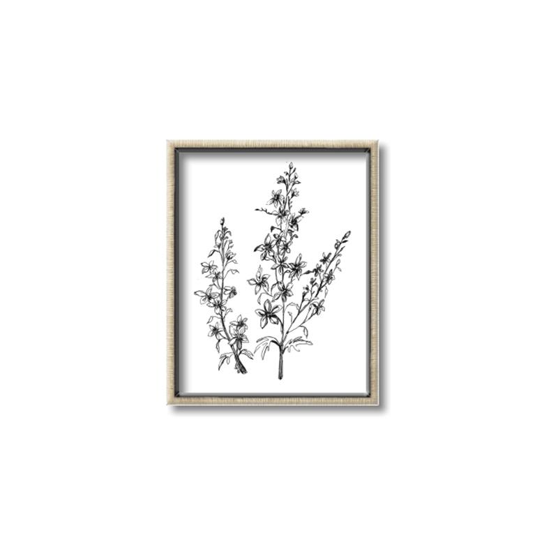 Picture of Whimsy Botanical I  _GroupedProduct_Rectangle_Portrait_Canvas_Framed_